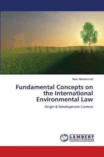 Fundamental Concepts on the International Environmental Law (Paperback)