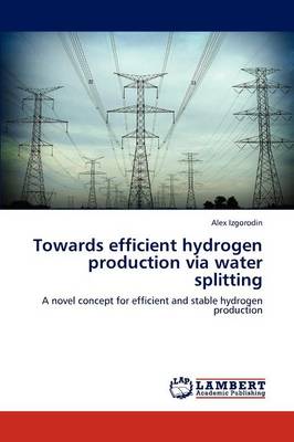 Towards Efficient Hydrogen Production Via Water Splitting (Paperback)