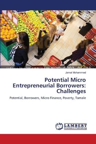 Potential Micro Entrepreneurial Borrowers: Challenges (Paperback)
