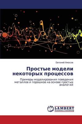 Prostye Modeli Nekotorykh Protsessov (Paperback)