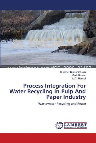 Process Integration for Water Recycling in Pulp and Paper Industry (Paperback)