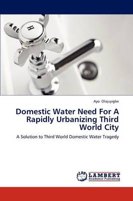 Domestic Water Need for a Rapidly Urbanizing Third World City (Paperback)