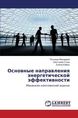 Osnovnye Napravleniya Energeticheskoy Effektivnosti (Paperback)