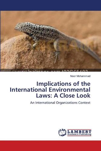 Implications of the International Environmental Laws: A Close Look (Paperback)