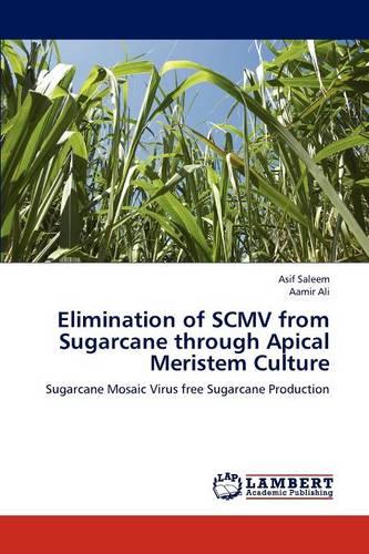 Elimination of Scmv from Sugarcane Through Apical Meristem Culture (Paperback)