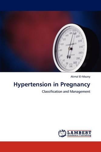 Hypertension in Pregnancy (Paperback)