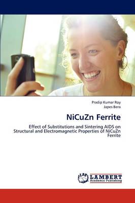 Nicuzn Ferrite (Paperback)