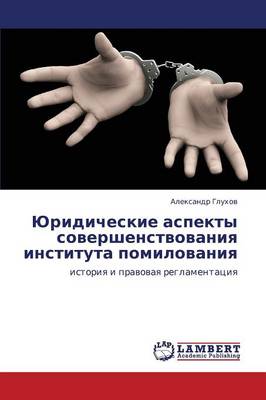 Yuridicheskie Aspekty Sovershenstvovaniya Instituta Pomilovaniya (Paperback)