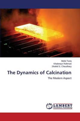 The Dynamics of Calcination (Paperback)