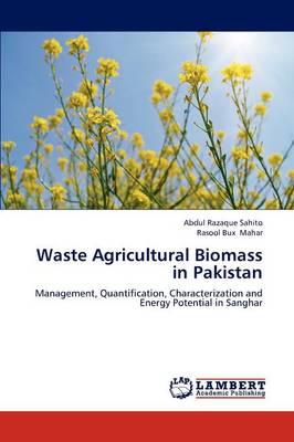 Waste Agricultural Biomass in Pakistan (Paperback)