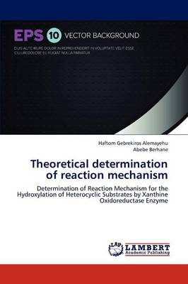 Theoretical Determination of Reaction Mechanism (Paperback)