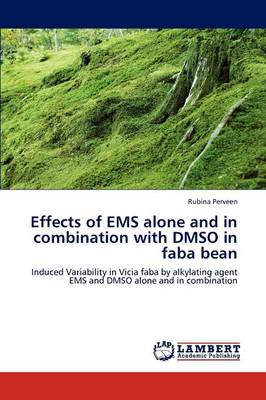 Effects of EMS Alone and in Combination with Dmso in Faba Bean (Paperback)