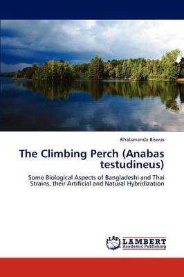 The Climbing Perch (Anabas Testudineus) (Paperback)