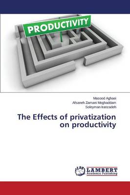 The Effects of Privatization on Productivity (Paperback)