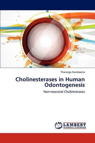 Cholinesterases in Human Odontogenesis (Paperback)