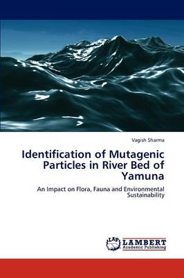 Identification of Mutagenic Particles in River Bed of Yamuna (Paperback)