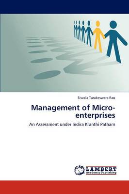 Management of Micro-Enterprises (Paperback)