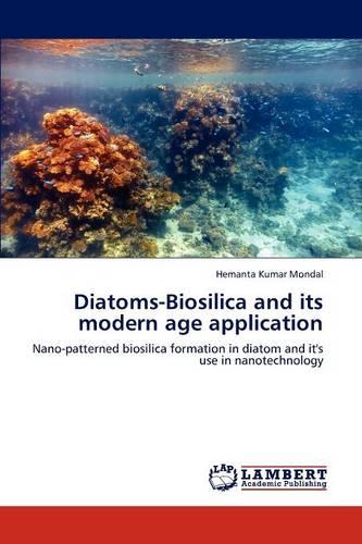 Diatoms-Biosilica and Its Modern Age Application (Paperback)