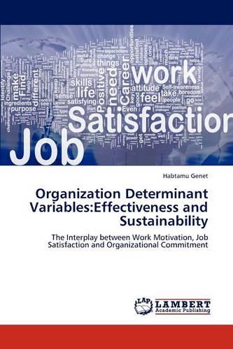 Organization Determinant Variables: Effectiveness and Sustainability (Paperback)