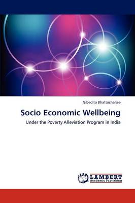 Socio Economic Wellbeing (Paperback)