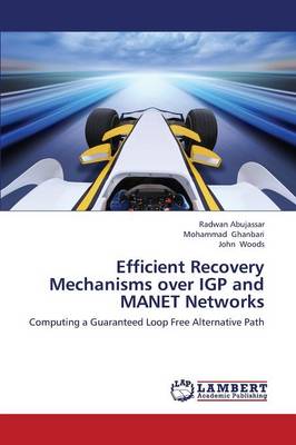Efficient Recovery Mechanisms Over Igp and Manet Networks (Paperback)