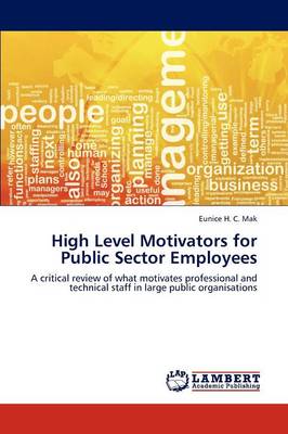 High Level Motivators for Public Sector Employees (Paperback)