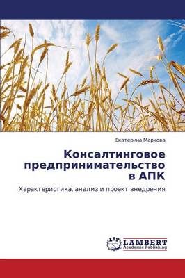 Konsaltingovoe Predprinimatel'stvo V Apk (Paperback)