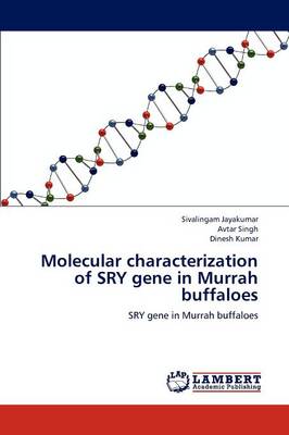 Molecular Characterization of Sry Gene in Murrah Buffaloes (Paperback)