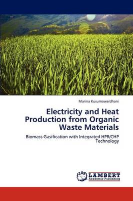 Electricity and Heat Production from Organic Waste Materials (Paperback)
