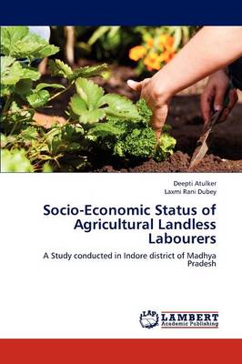Socio-Economic Status of Agricultural Landless Labourers (Paperback)