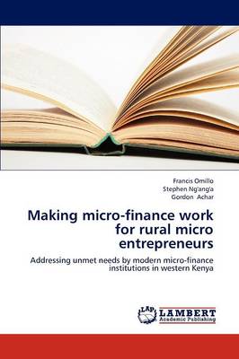 Making Micro-Finance Work for Rural Micro Entrepreneurs (Paperback)