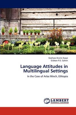 Language Attitudes in Multilingual Settings (Paperback)