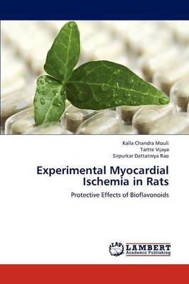 Experimental Myocardial Ischemia in Rats (Paperback)