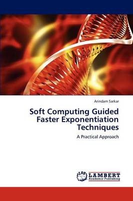 Soft Computing Guided Faster Exponentiation Techniques (Paperback)