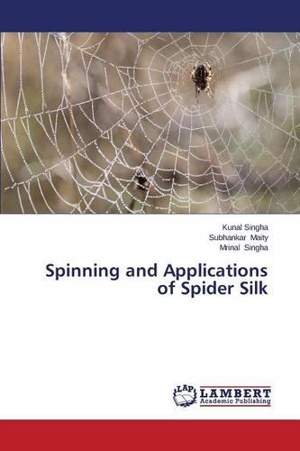 Spinning and Applications of Spider Silk (Paperback)