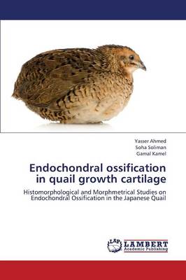Endochondral Ossification in Quail Growth Cartilage (Paperback)