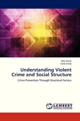 Understanding Violent Crime and Social Structure (Paperback)