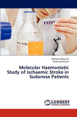 Molecular Haemostatic Study of Ischaemic Stroke in Sudanese Patients (Paperback)