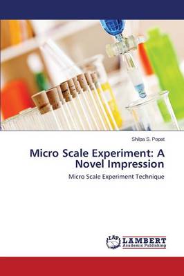 Micro Scale Experiment: A Novel Impression (Paperback)