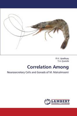 Correlation Among (Paperback)