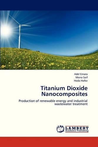 Titanium Dioxide Nanocomposites (Paperback)