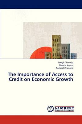 The Importance of Access to Credit on Economic Growth (Paperback)