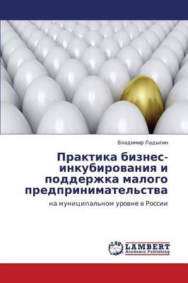 Praktika Biznes-Inkubirovaniya I Podderzhka Malogo Predprinimatel'stva (Paperback)
