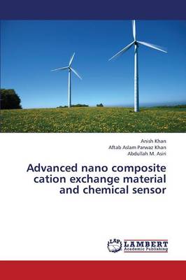Advanced Nano Composite Cation Exchange Material and Chemical Sensor (Paperback)
