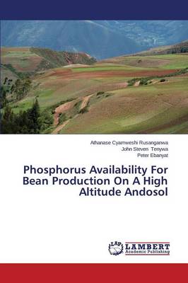 Phosphorus Availability for Bean Production on a High Altitude Andosol (Paperback)