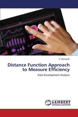 Distance Function Approach to Measure Efficiency (Paperback)