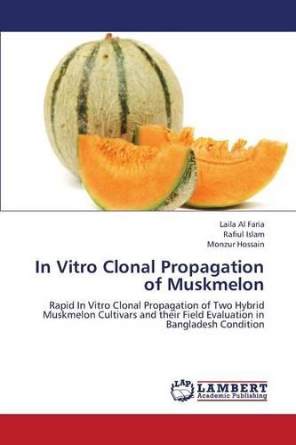 In Vitro Clonal Propagation of Muskmelon (Paperback)