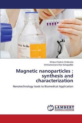 Magnetic Nanoparticles: Synthesis and Characterization (Paperback)