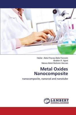 Metal Oxides Nanocomposite (Paperback)