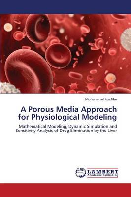 A Porous Media Approach for Physiological Modeling (Paperback)